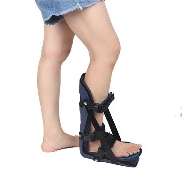 Ống nẹp đêm thực vật